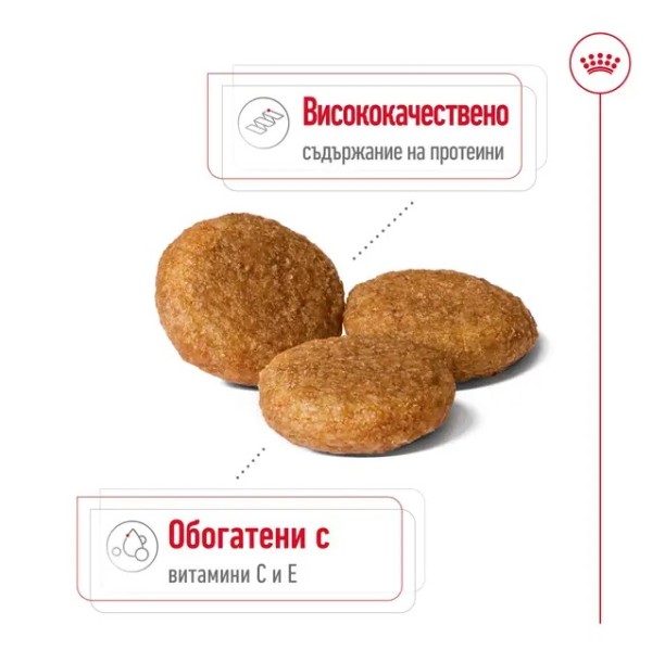 Royal Canin Dog Adult Medium - Пълноценна суха храна за кучета от средни породи от 1 до 7 години